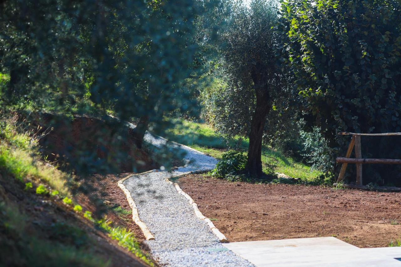 Agriturismo Terra Volonteri مونتيكاتيني تيرمي المظهر الخارجي الصورة