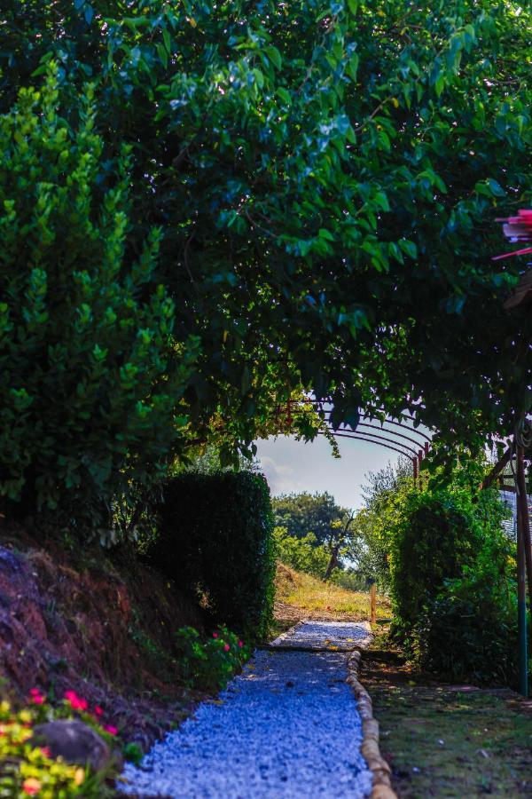 Agriturismo Terra Volonteri مونتيكاتيني تيرمي المظهر الخارجي الصورة
