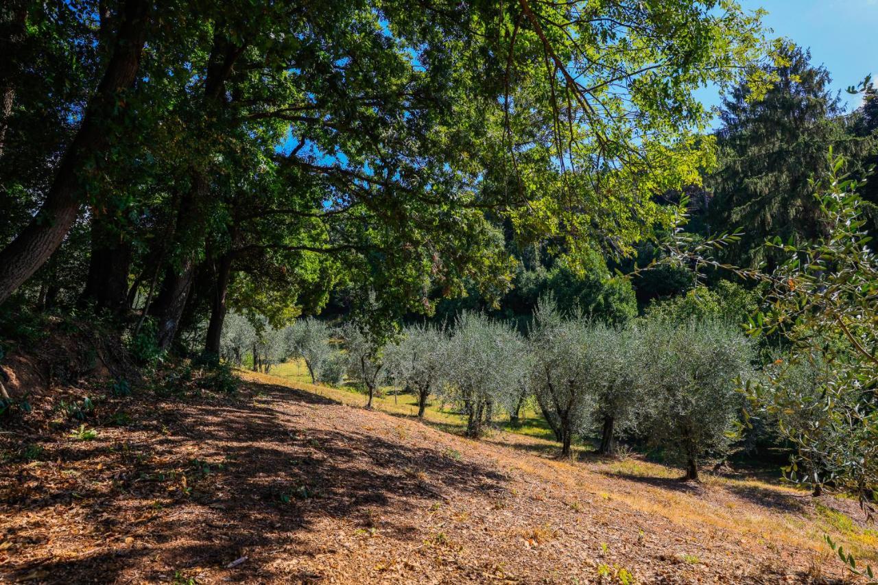 Agriturismo Terra Volonteri مونتيكاتيني تيرمي المظهر الخارجي الصورة