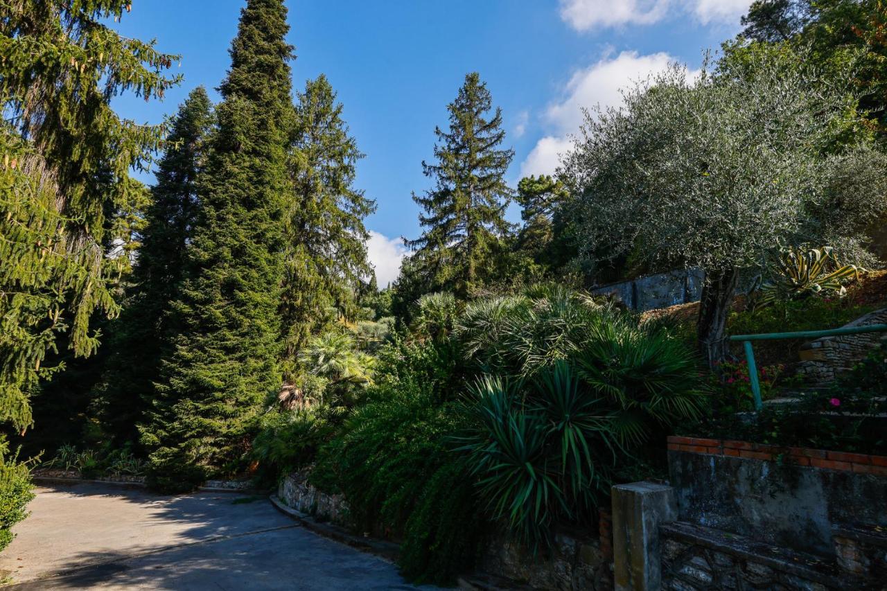 Agriturismo Terra Volonteri مونتيكاتيني تيرمي المظهر الخارجي الصورة