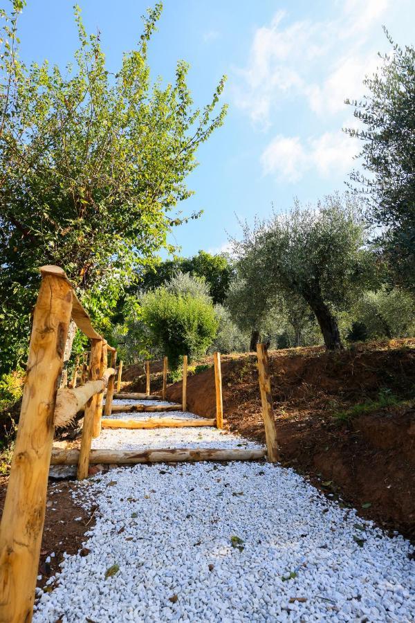 Agriturismo Terra Volonteri مونتيكاتيني تيرمي المظهر الخارجي الصورة