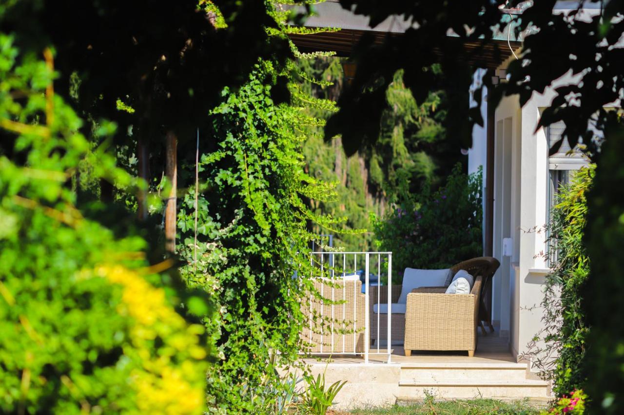 Agriturismo Terra Volonteri مونتيكاتيني تيرمي المظهر الخارجي الصورة