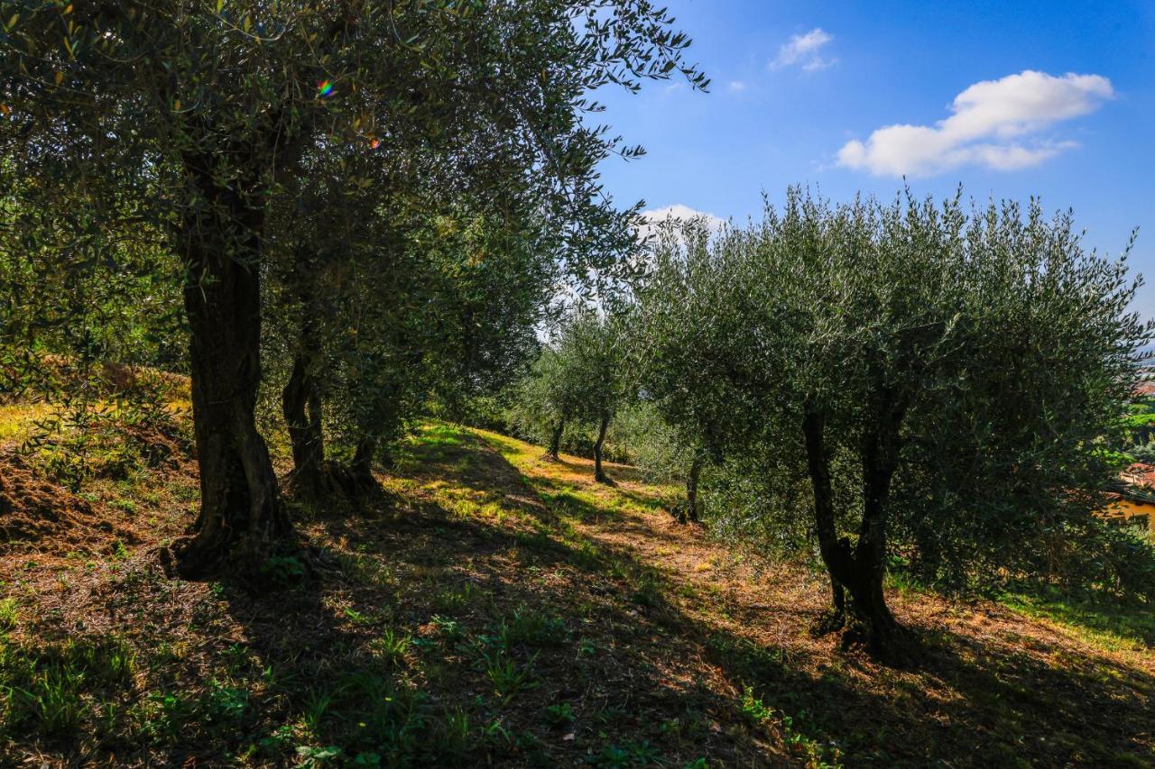 Agriturismo Terra Volonteri مونتيكاتيني تيرمي المظهر الخارجي الصورة